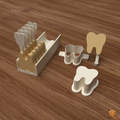 Tooth Cake Pop Mold STL File