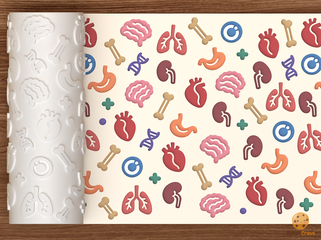 Human Anatomy Organs Textured Roller STL File