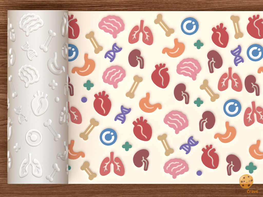 Human Anatomy Organs Textured Roller STL File