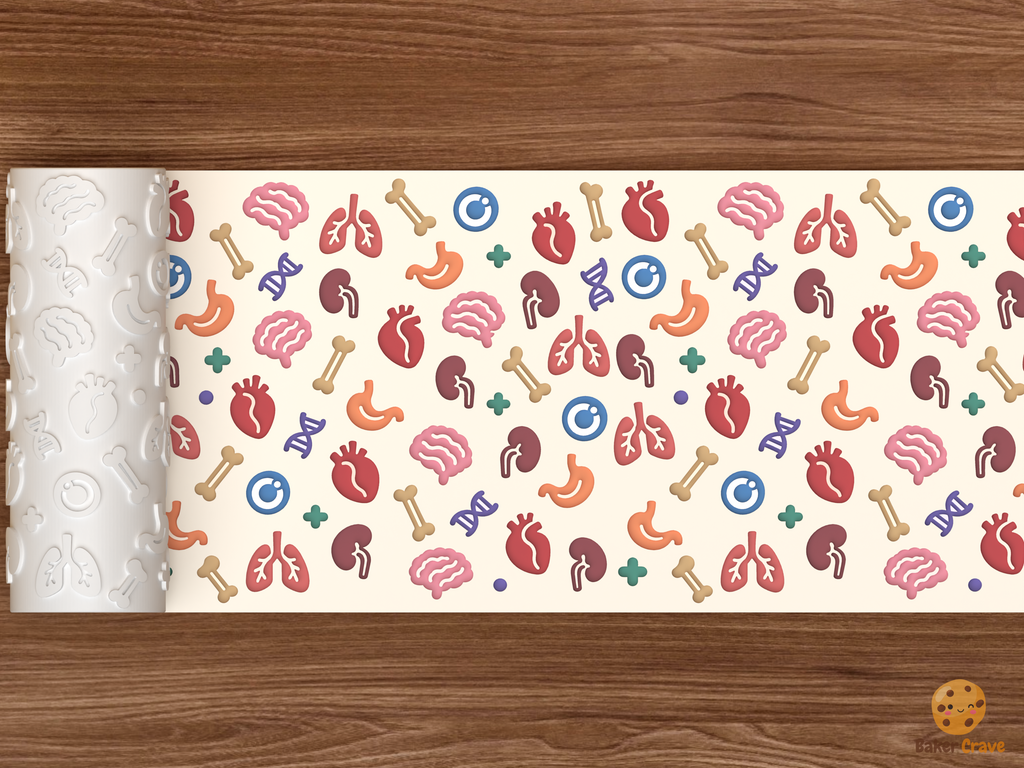 Human Anatomy Organs Textured Roller STL File