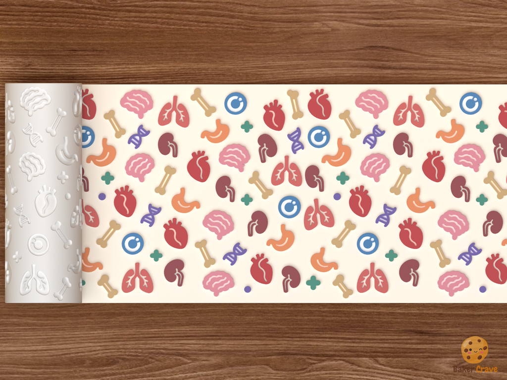 Human Anatomy Organs Textured Roller STL File