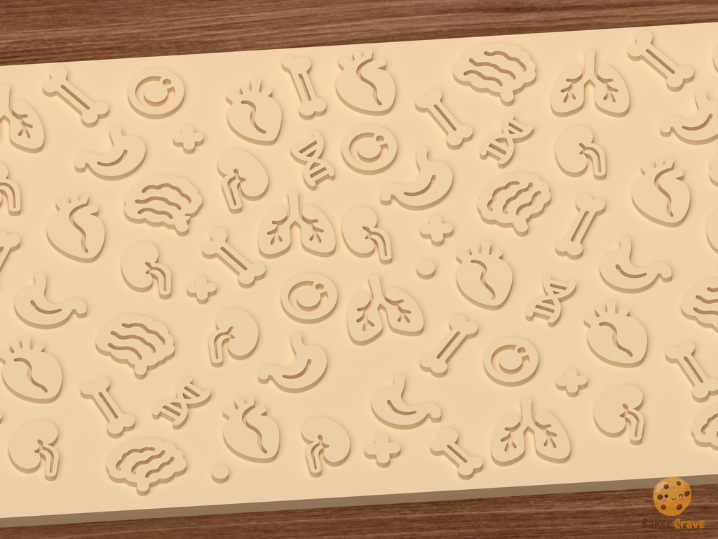 Human Anatomy Organs Textured Roller STL File