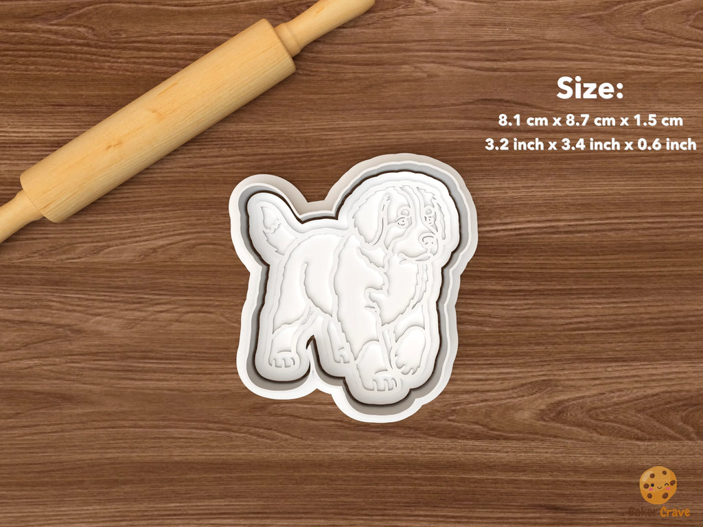 Bernese Mountain Dog Cookie Cutter Set STL File - single standing bernese mountain dog front view